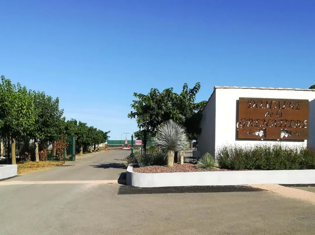 Chalet In Pomerols Near Mediterranean Beaches - Hérault