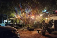 Casa de Elena – Tranquility, Peace & Relaxation