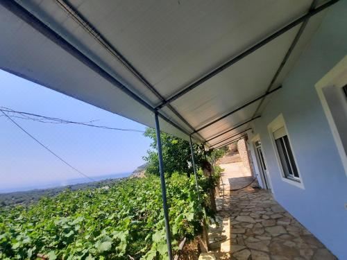 家庭房（带阳台）