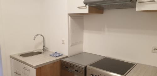 一卧室公寓带淋浴