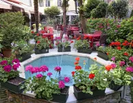 Hotel Amadeus