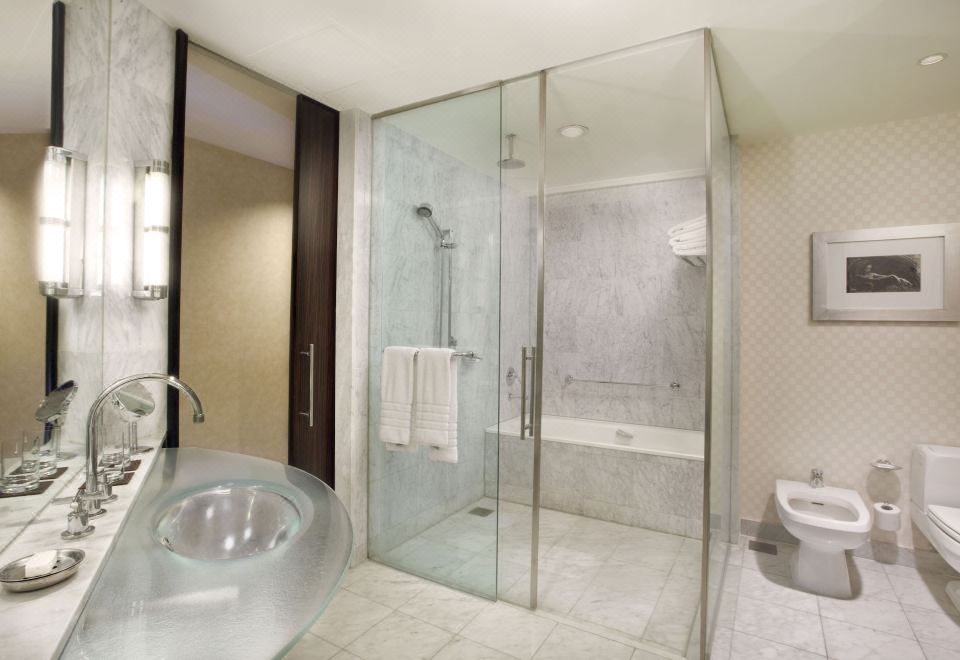 Park Hyatt Mendoza Hotel Casino and SpaTwin Room with City View