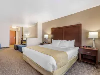 Comfort Inn & Suites Mitchell I-90 Hotels in Mitchell