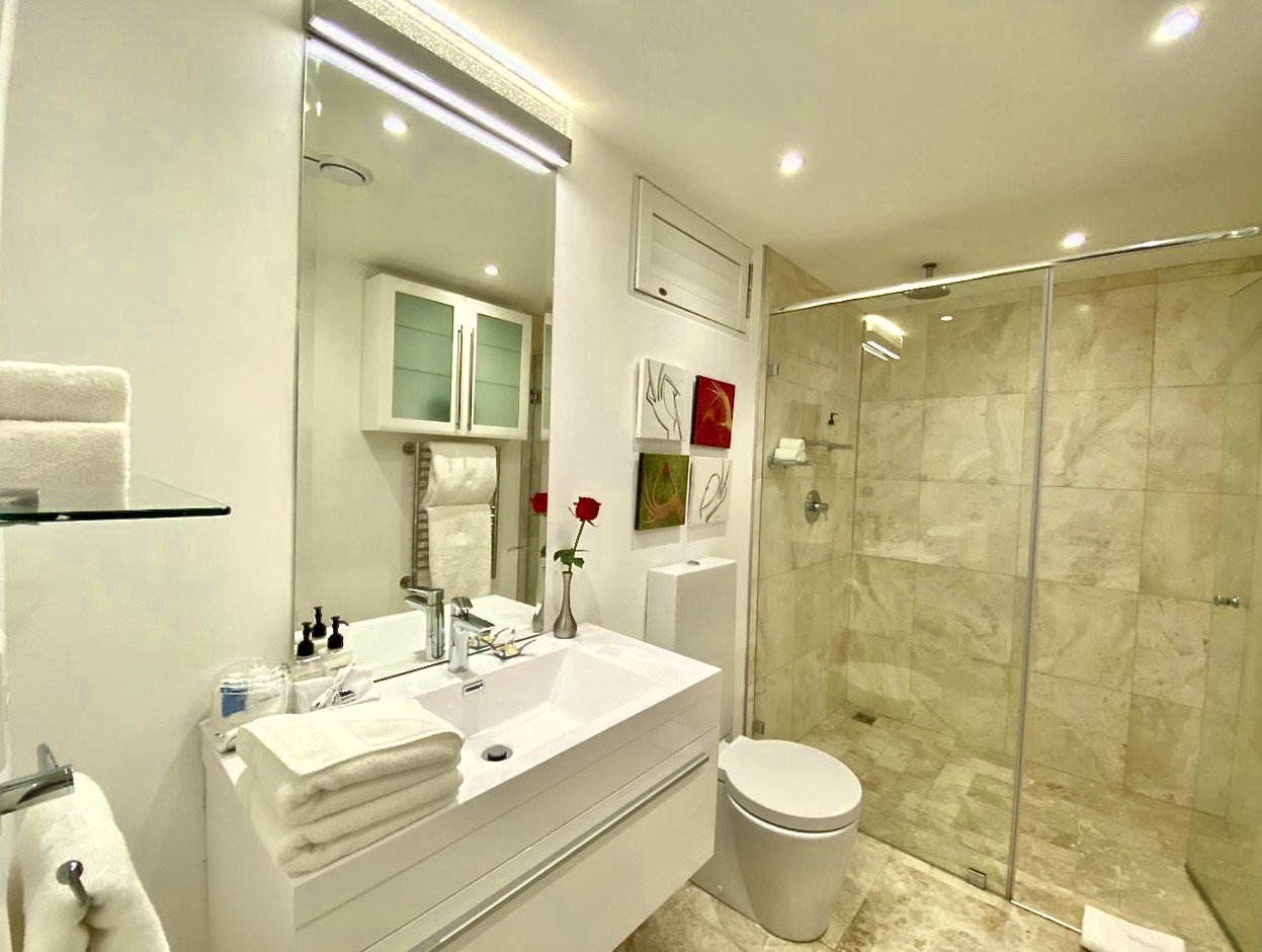 高级双人房，山景