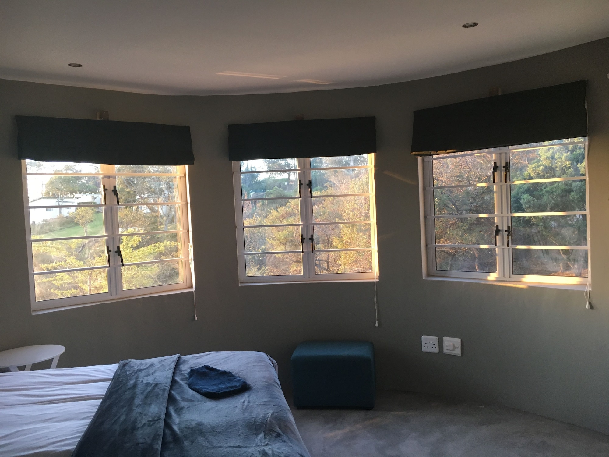 Spekboom豪华（7）