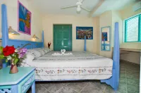 Hotel Playa Colibri Hoteles en 