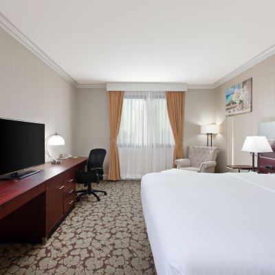 聽力無障礙標準特大床房（帶無障礙淋浴） 艾爾蒙特假日酒店 - 洛杉磯優惠