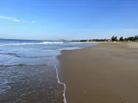 ビネ・バシレ