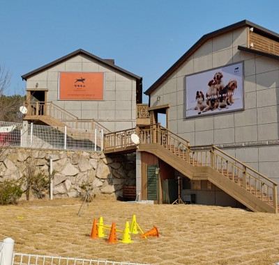 Samoyed 2nd Floor, Room 406 Gyeongju Run & Dogs Pension 쿠폰