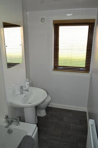 公寓 - 地面楼层