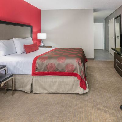 Economy Single Room, Accessible Boutique Hotel Promo Code