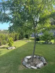 SanAndros Airbnb Hotels in 
