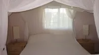 Sunrises & Sunsets Tropical Getaway - Incredible Views Overlooking Caribbean Sea