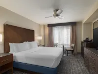 Embassy Suites by Hilton Laredo Hotels in Laredo