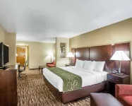 Comfort Suites  호텔