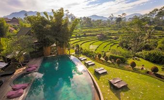 Sawah Indah Villa