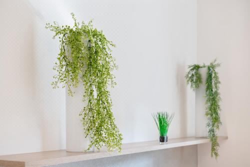 高级一卧室公寓