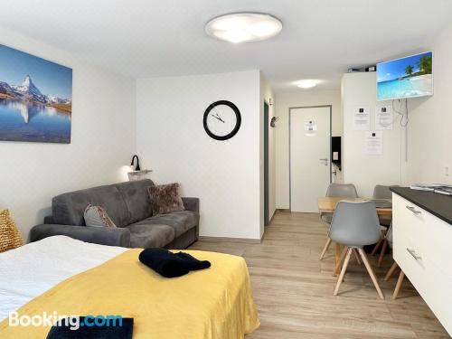 带园景一室公寓