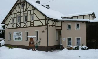Modern Apartment Inpohla Saxony Near Ski Area