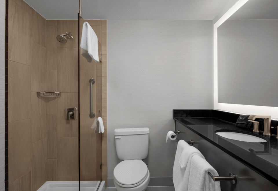 标准房，1张特大床（精品房）