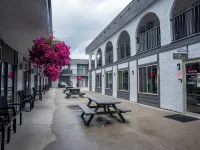 Courtyard Inn Vernon Hotels in Vernon