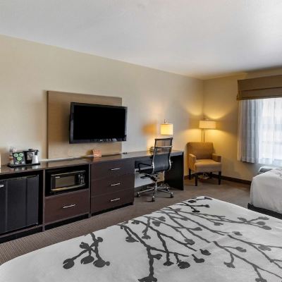 2 Queen Beds, Pet-Friendly Room, Non-Smoking