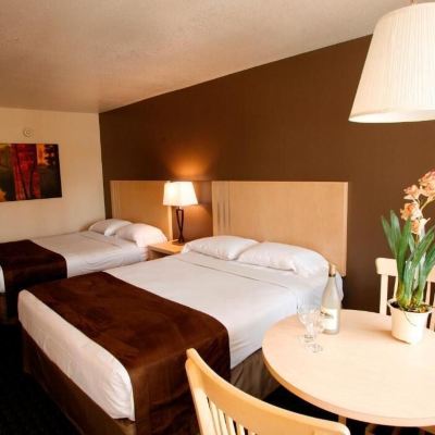 Standard Deluxe Two Queen Room Virgin River Hotel and Casino Promo Code