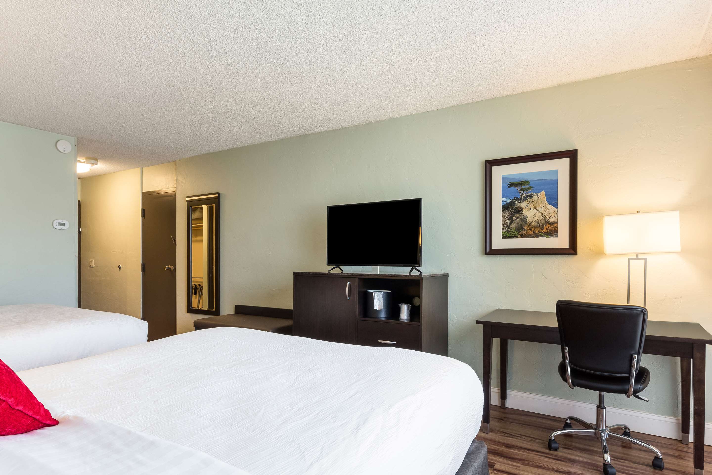 宠物友好间 - 带2张大床