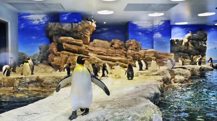 下関駅西ワシントンホテルプラザ 施設