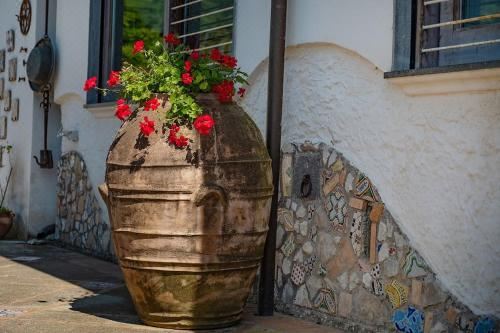 别墅（带独立泳池）