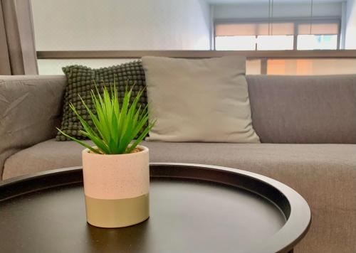 SP Central LoftTwo-Bedroom Apartment