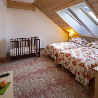 Standard Apartment, 1 Bedroom (with Unlimited Access To Terma Bania) Hotel Bania Thermal & Ski Promo Code