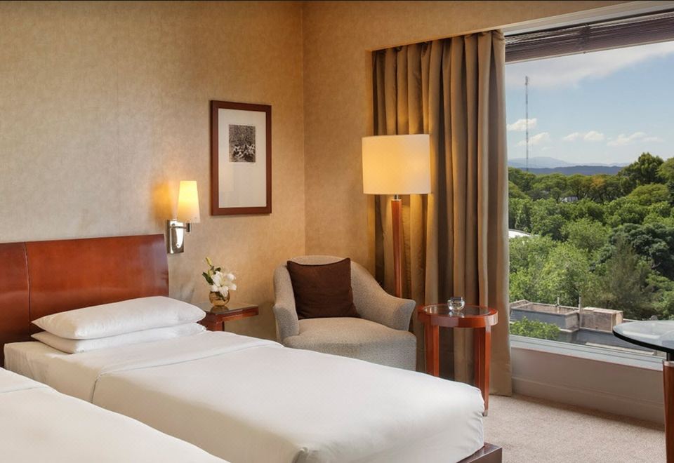 Park Hyatt Mendoza Hotel Casino and SpaTwin Room with City View