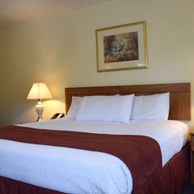 Standard Room, 1 King Bed, Non Smoking (Poolside) Nordick's Inn Promo Code
