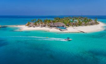 aerial view of a boat on the water near a tropical island , with palm trees in the background at Fushifaru Maldives