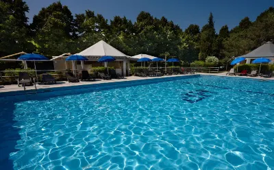 Hotel Villa Patriarca Hotels in 