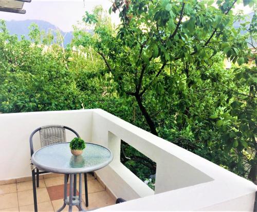 带阳台的双床房