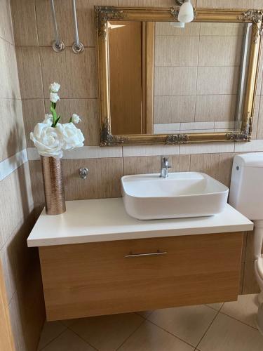 一卧室公寓（带阳台）