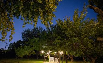 Red Horse Bed and Breakfast - Housity