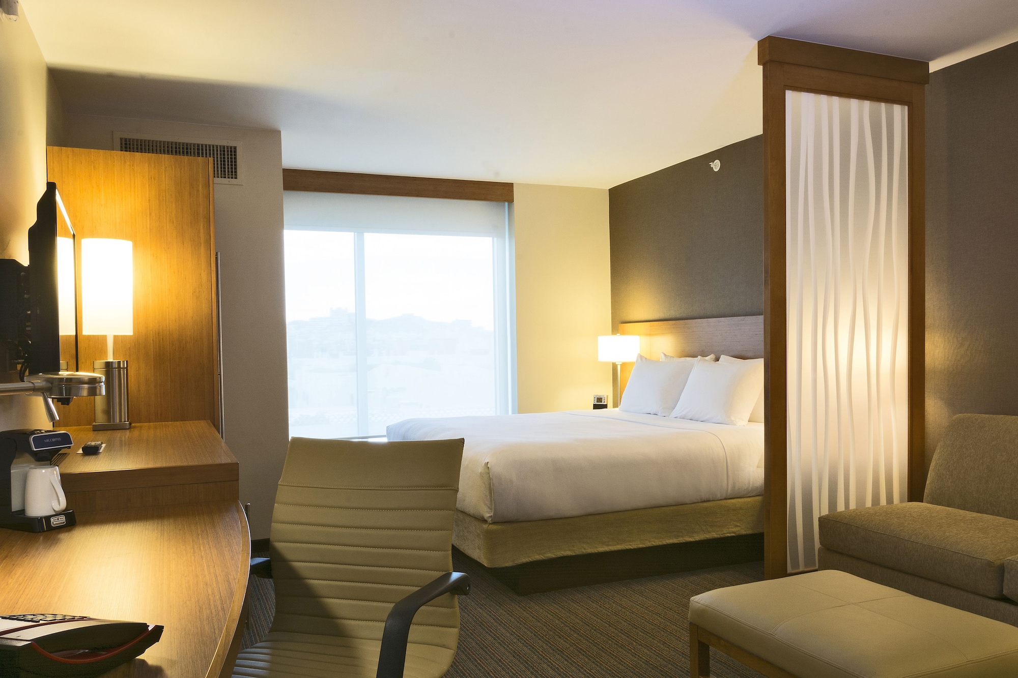 凯悦特大床房（带梳化床）