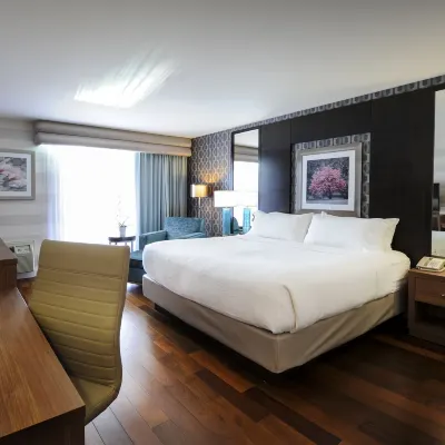 Holiday Inn NIAGARA FALLS - BY THE FALLS by IHG Hotels near Marineland