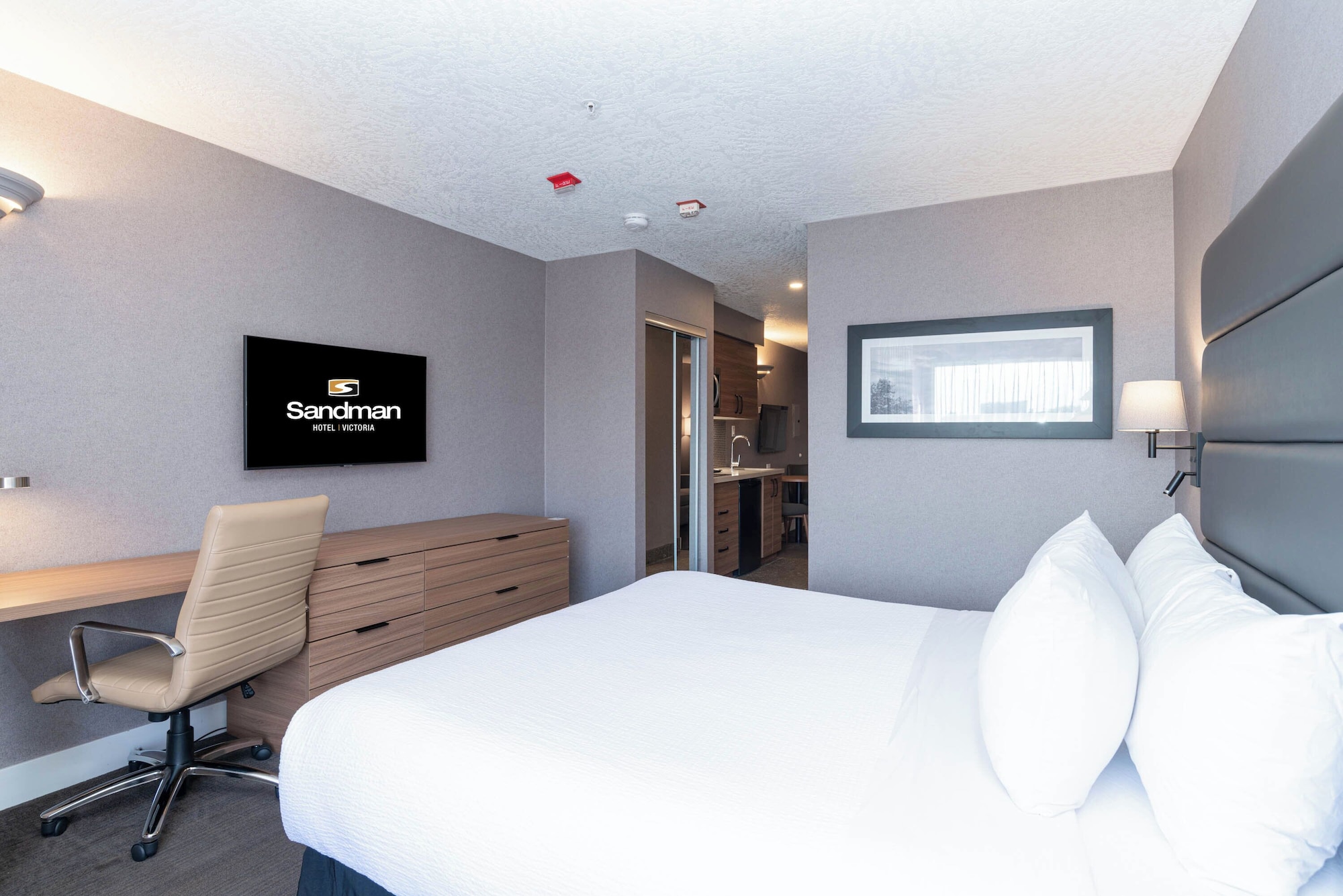 标准套房， 1 张特大床和 1 张梳化床， 简易厨房