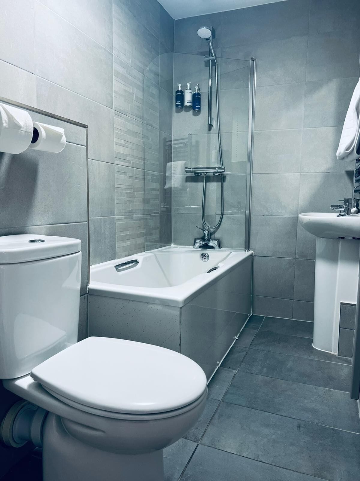 豪华双人或双床房，1张特大床，海景，面向海