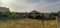 Petra Dad Farm Ξενοδοχεία στην πόλη 