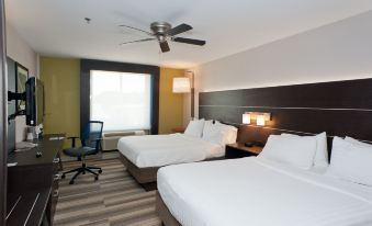 Holiday Inn Express & Suites Scott-Lafayette West
