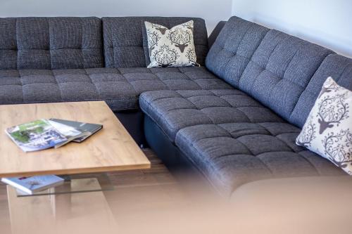 高级一卧室公寓