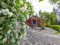 L'Orlo del Bosco