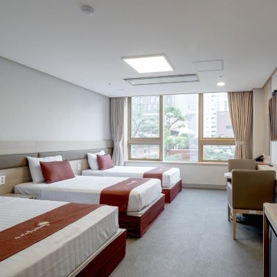 스탠다드 3인룸 하이서울유스호스텔 쿠폰