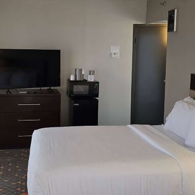 Executive King Suite-Non-Smoking 羅切斯特市區假日酒店優惠