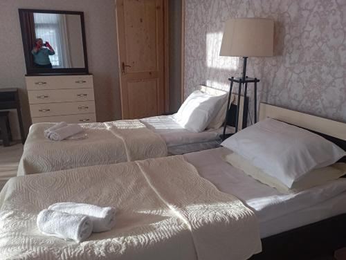 Hotel MarlizaTwin Room with Balcony